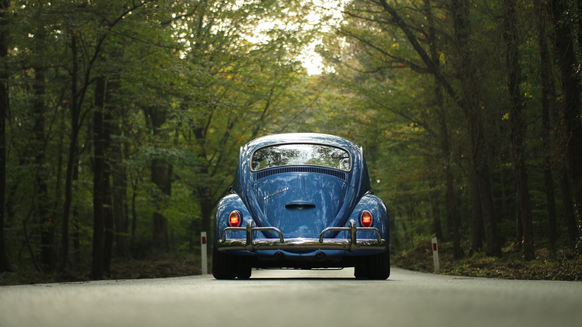 Automobile insurance coverage